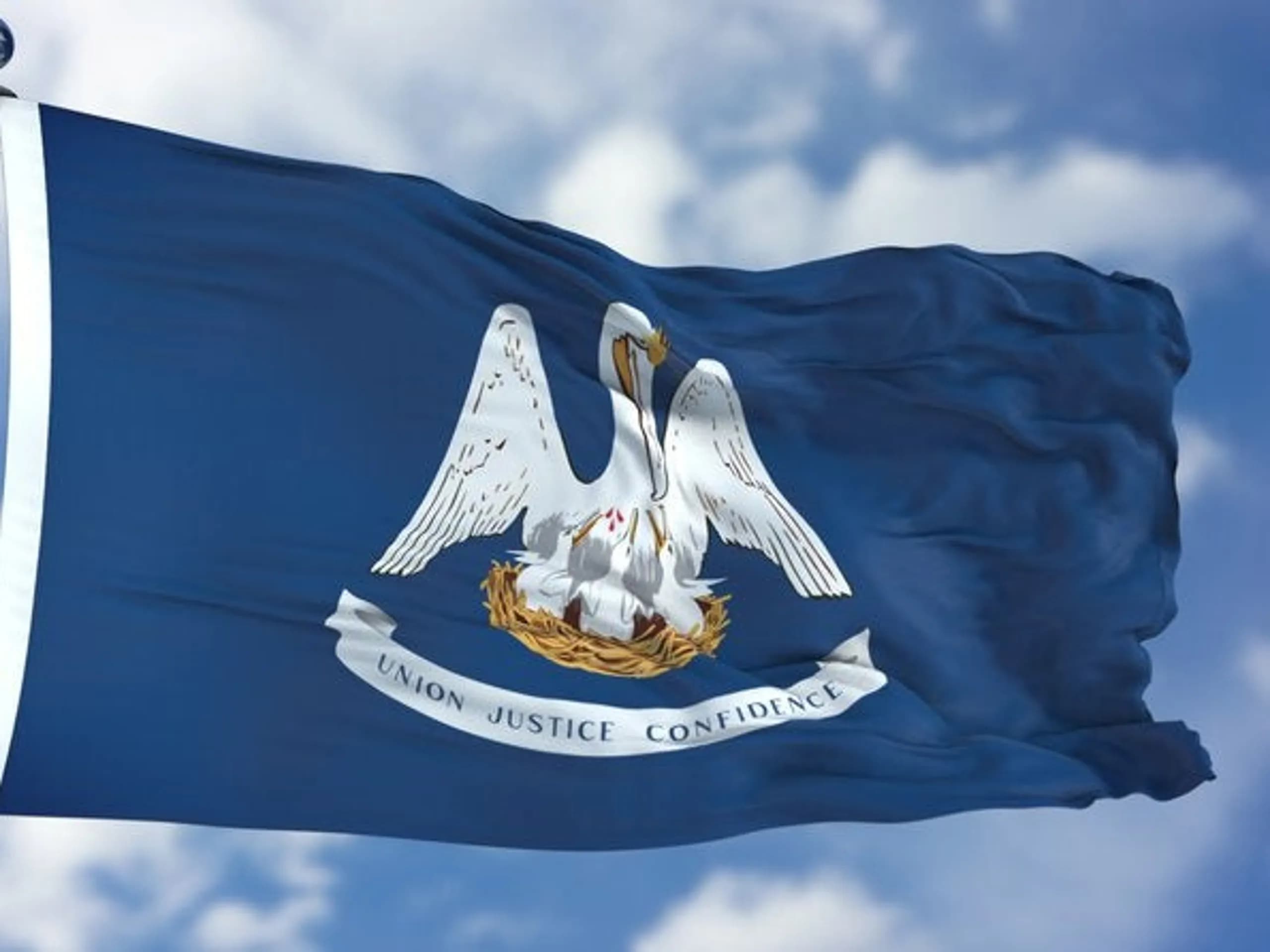 Louisiana flag