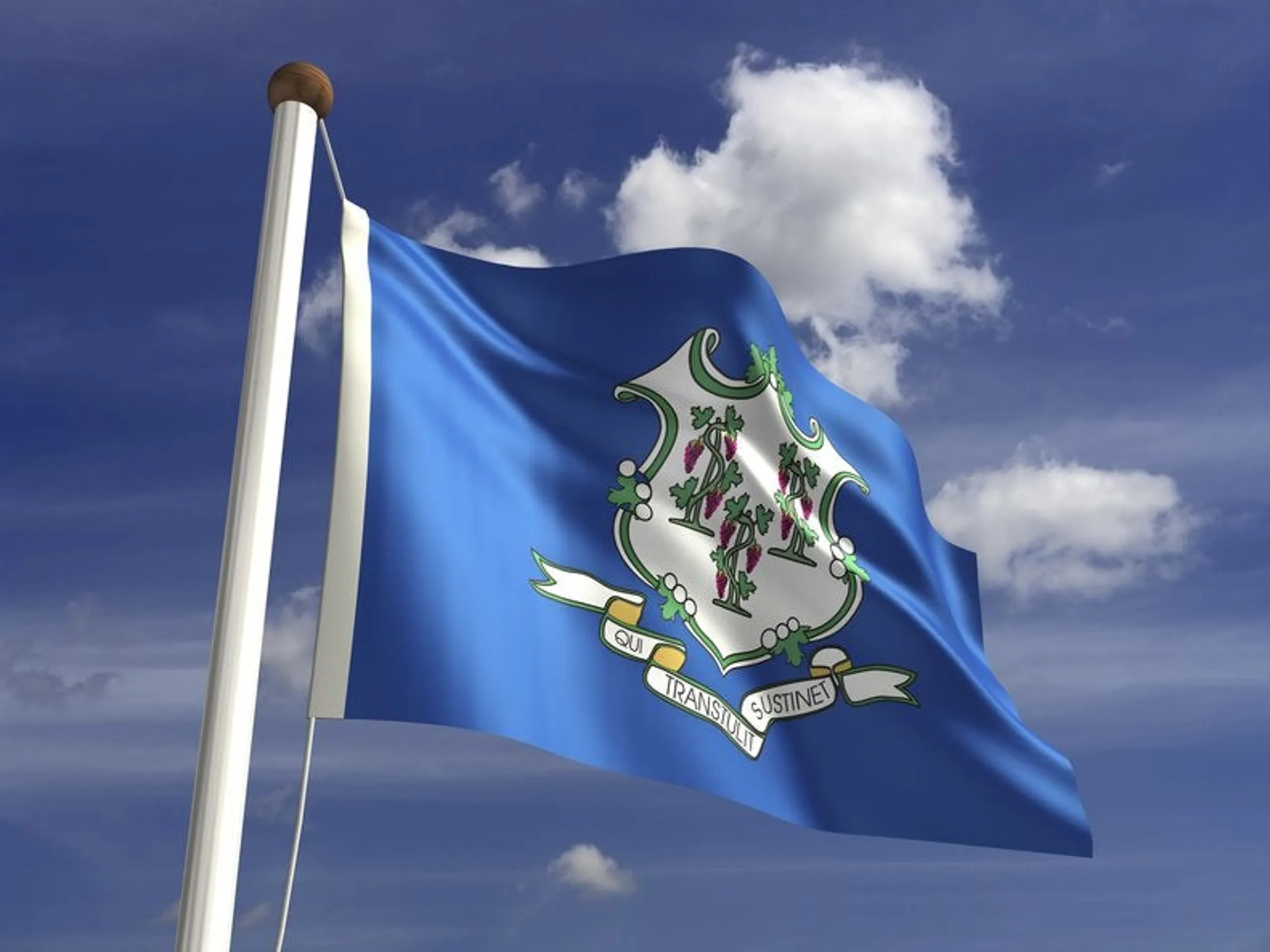 Connecticut flag