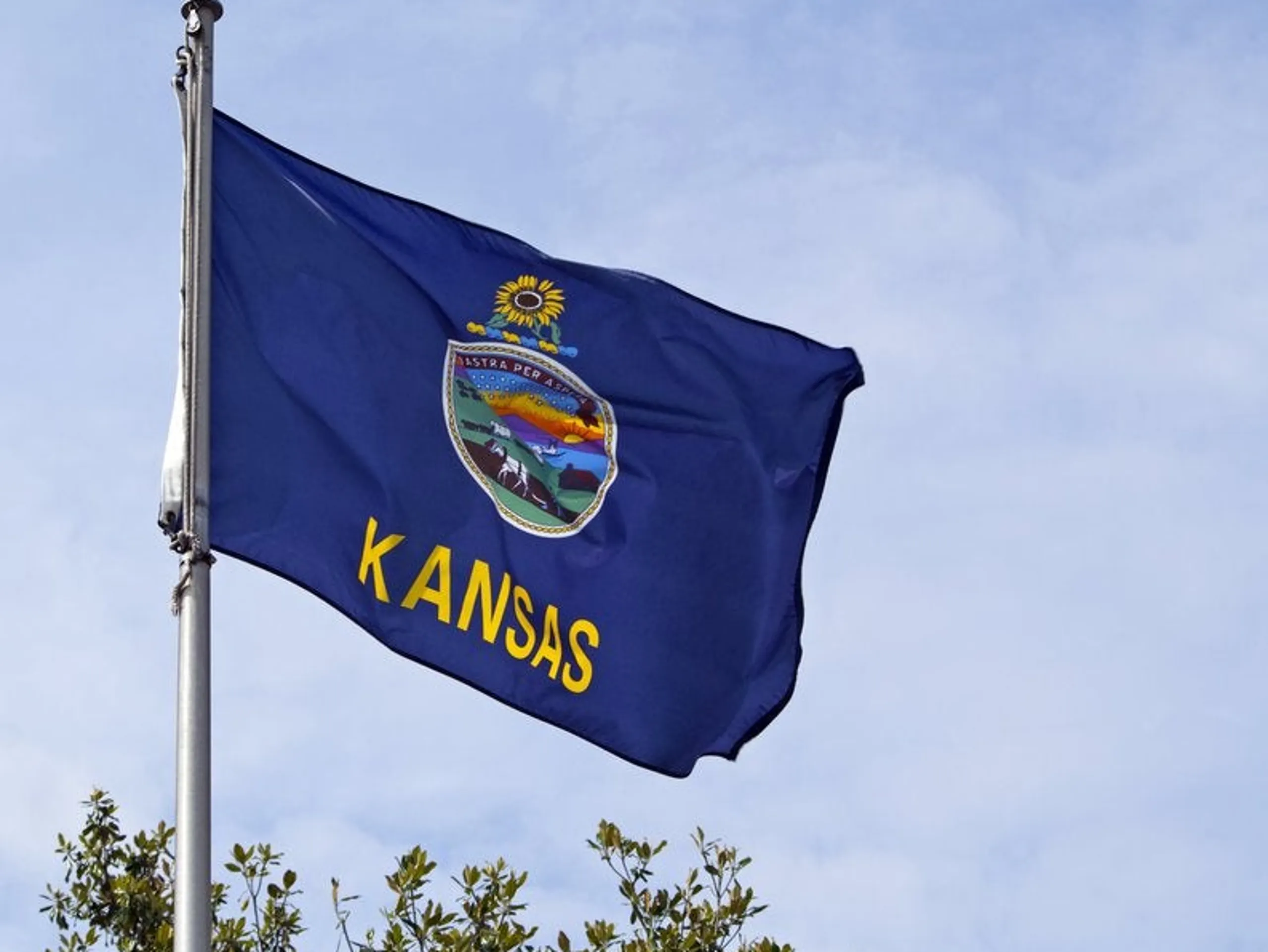 Kansas flag