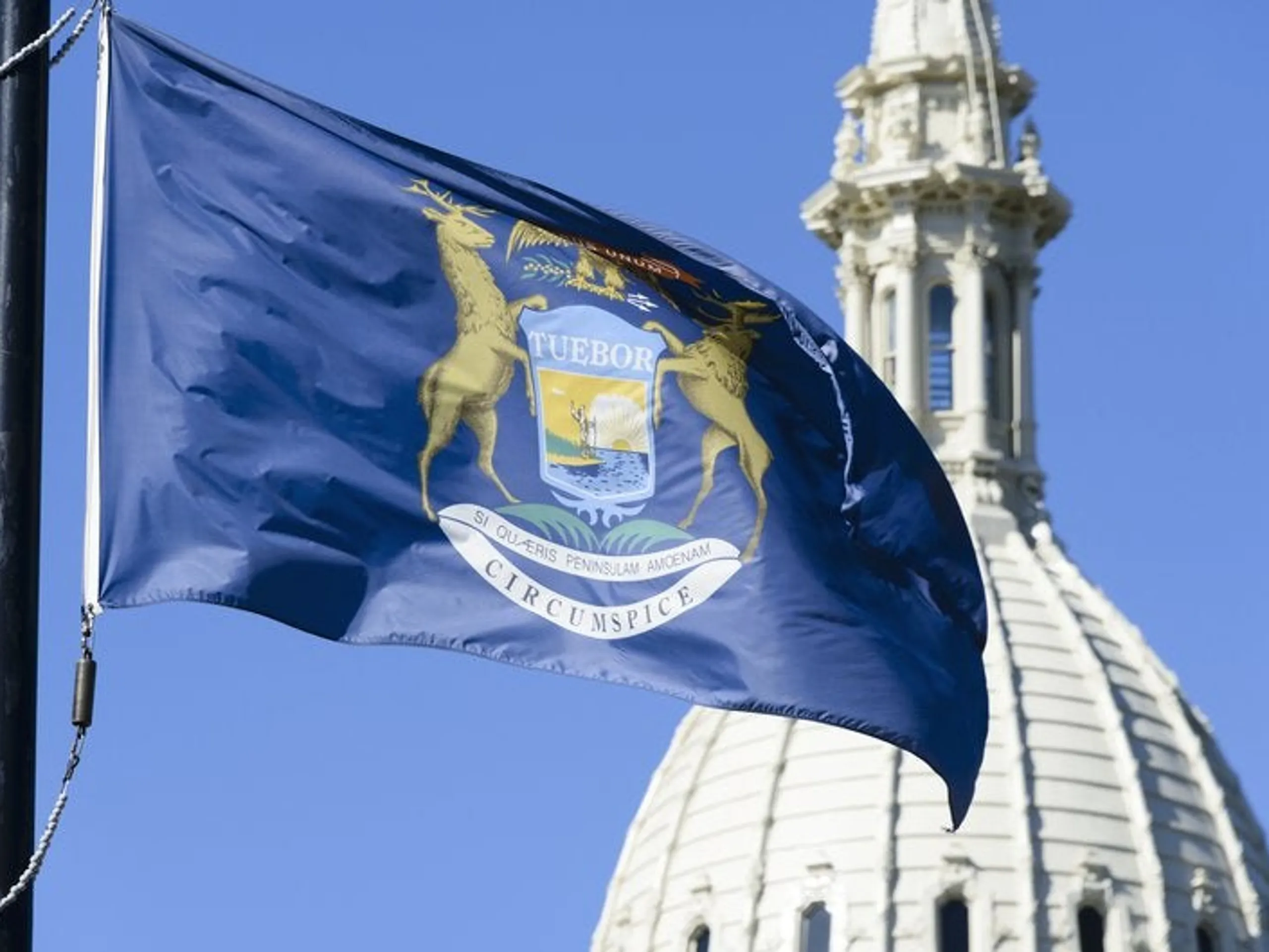 Michigan flag