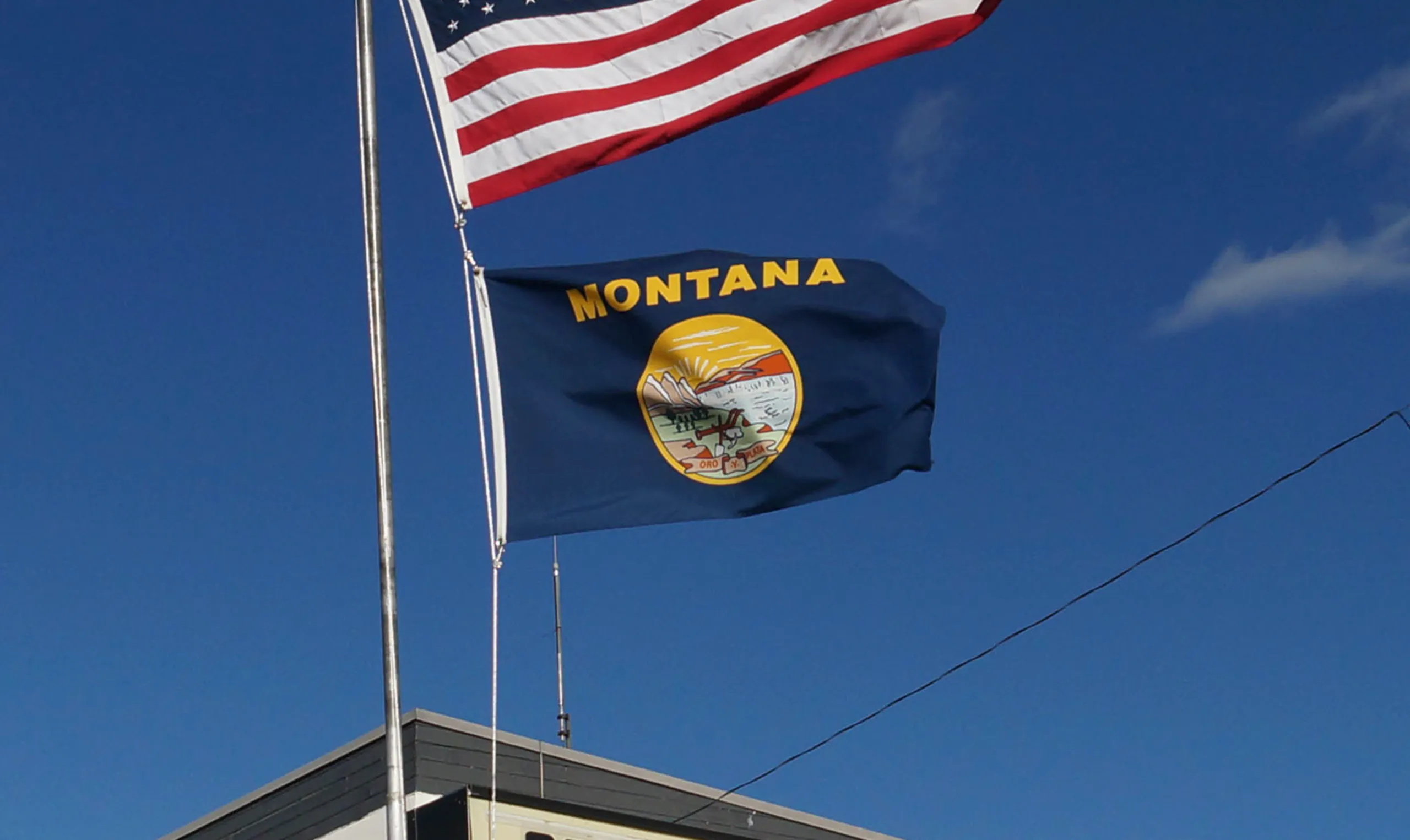 Montana flag