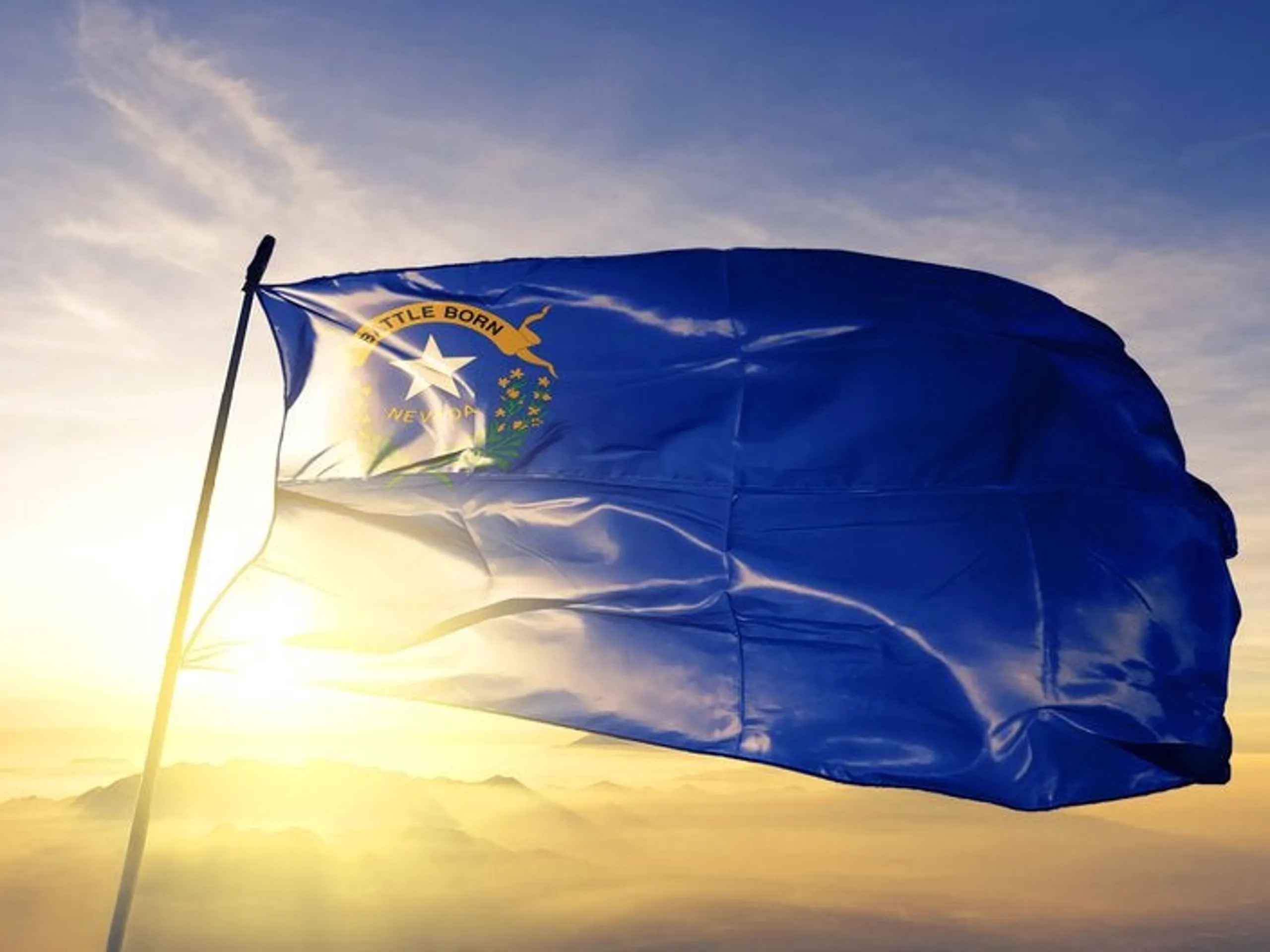 Nevada flag