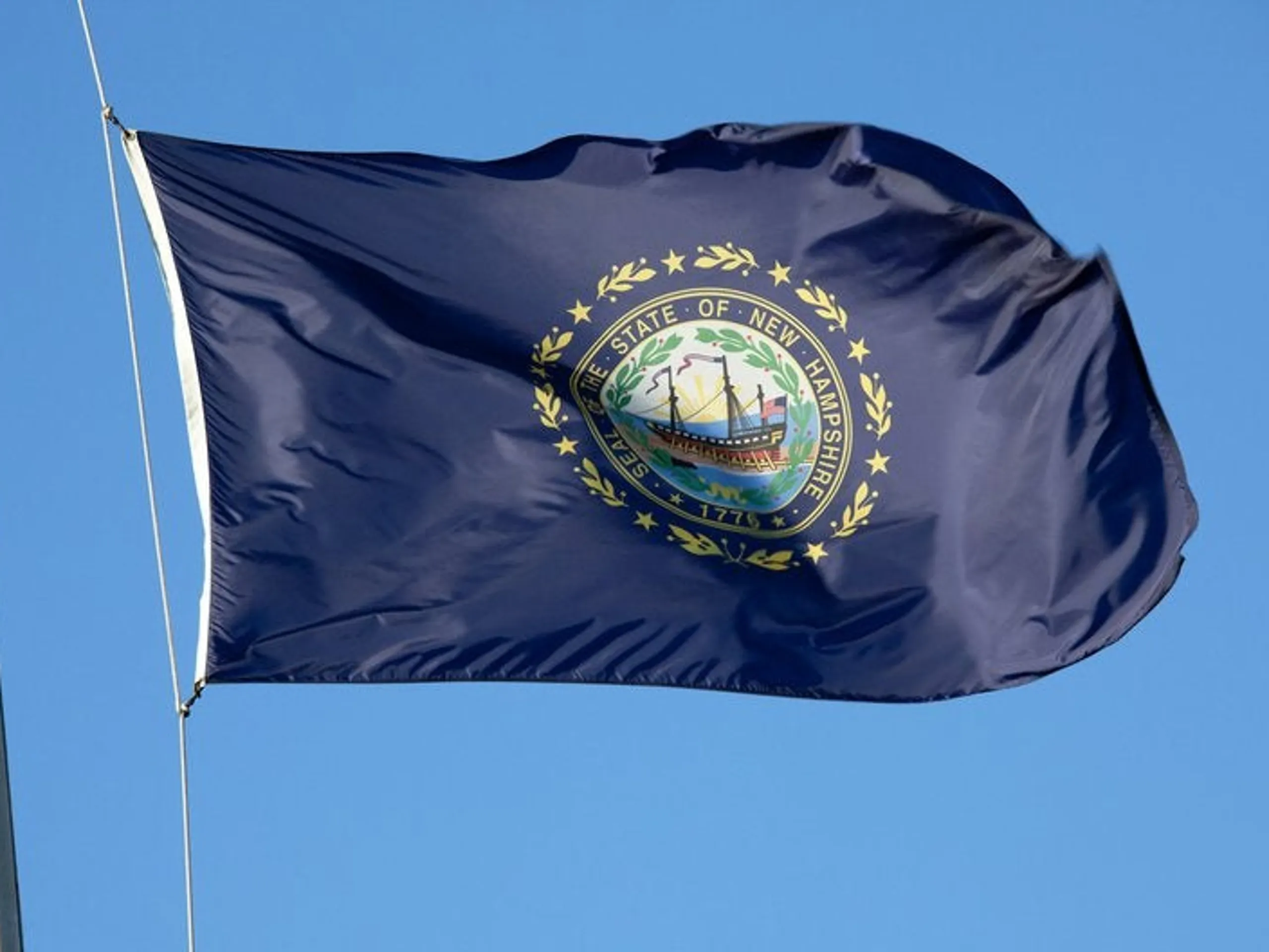 New Hampshire flag