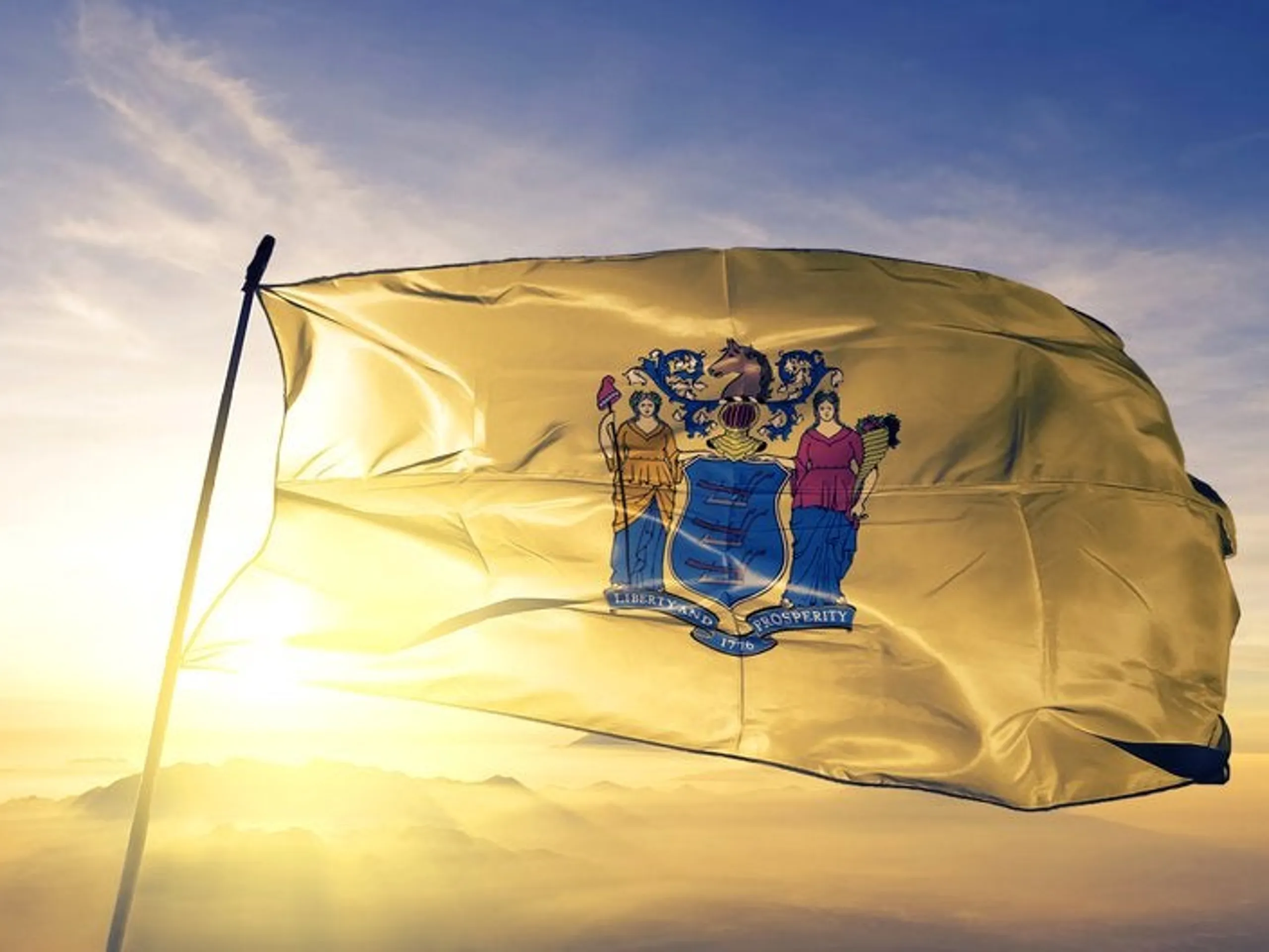 New Jersey flag