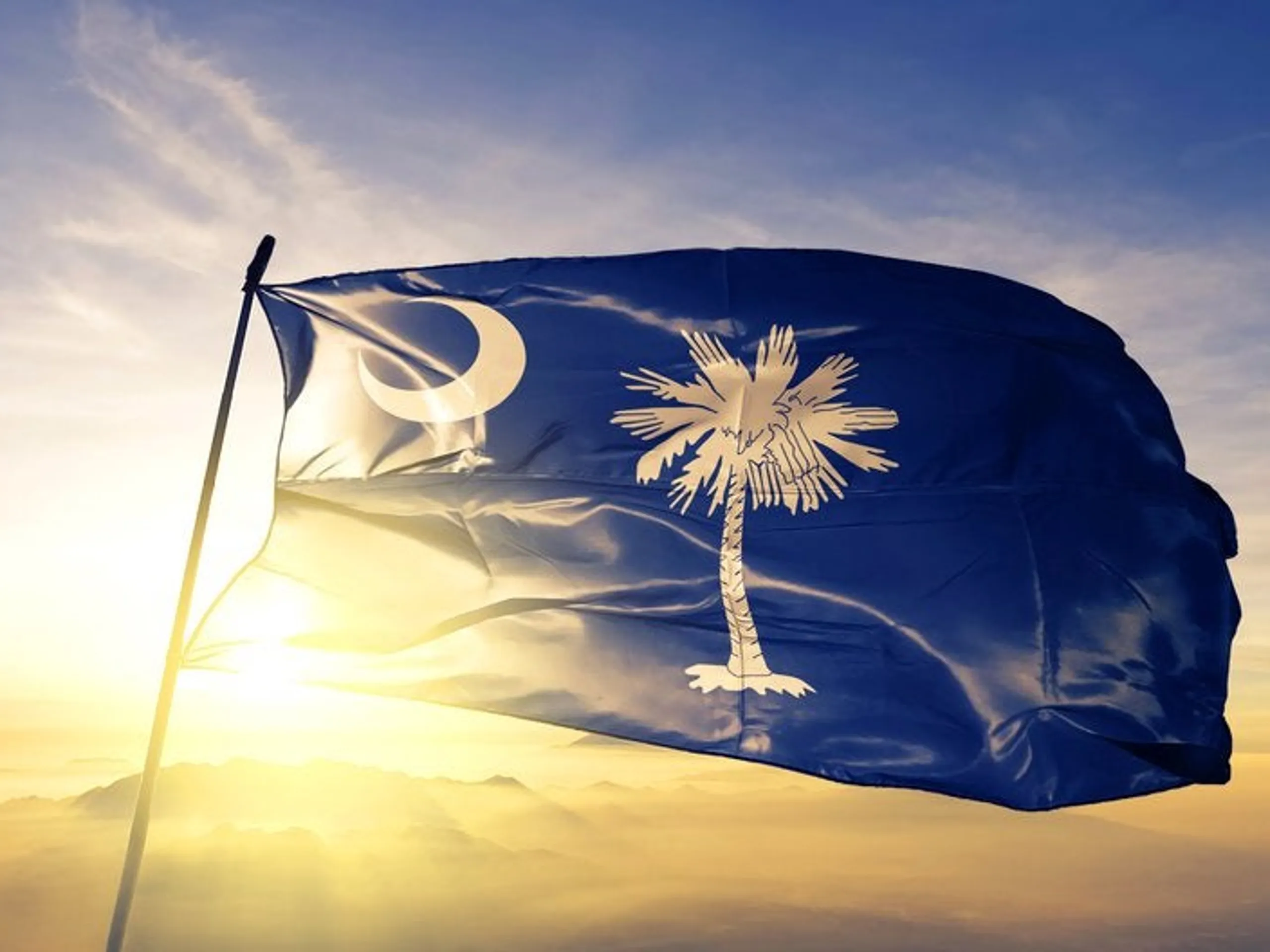South Carolina flag